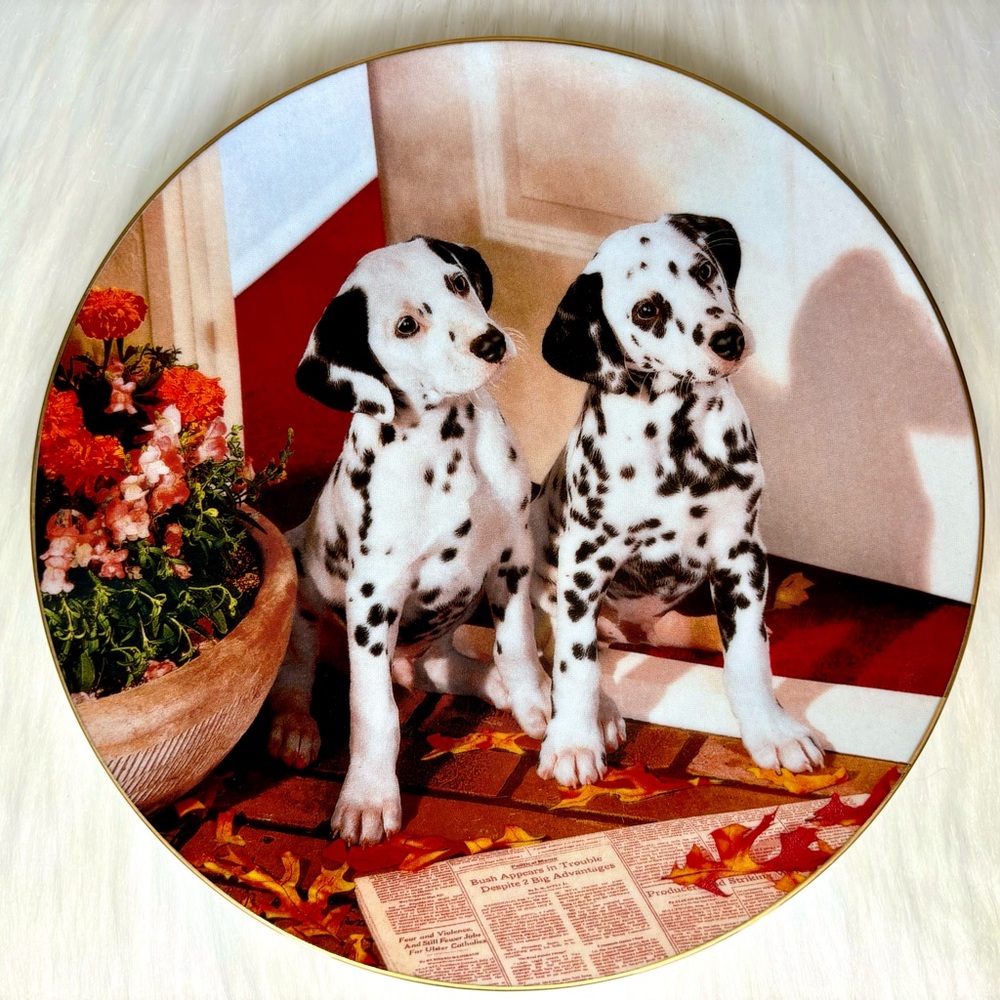 HAMILTON COLLECTION Dalmatian Series Plate